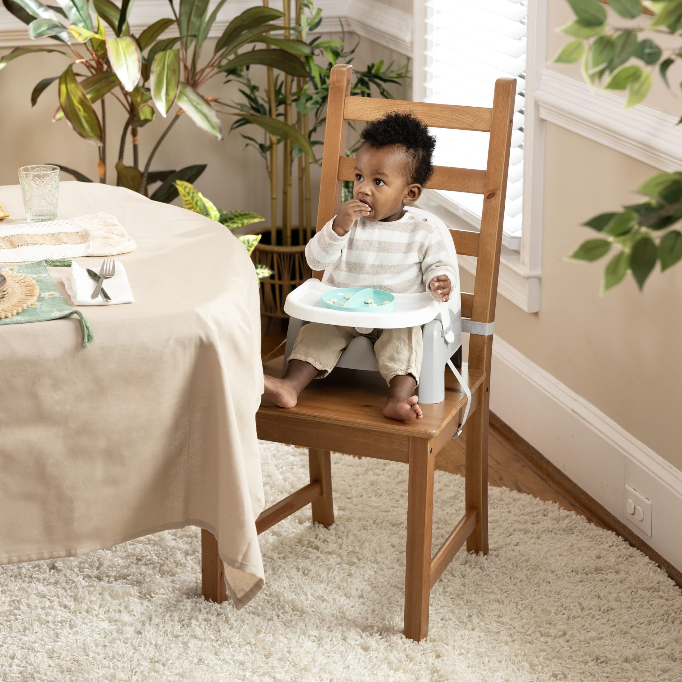 Deluxe Learn-To-Dine Feeding Seat, Ages 6 Months to 3 Years, Orange and Teal